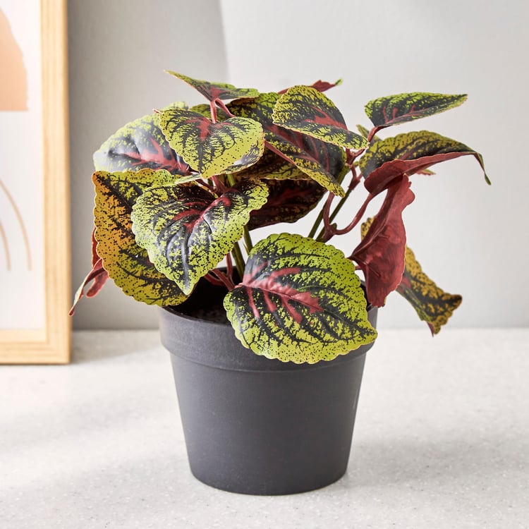 Buy Garnet Garden Artificial Mammy Croton Plant In Pot From Home Centre