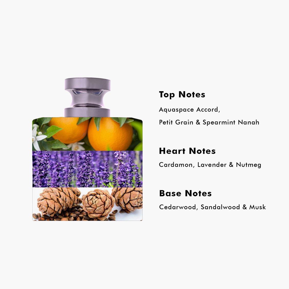 NAUTICA Men Voyage Eau De Toilette