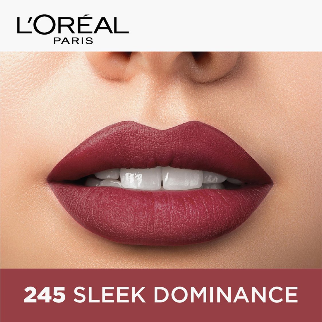 L'OREAL PARIS Color Riche Moist Matte Lipstick - 245 Sleek Dominance