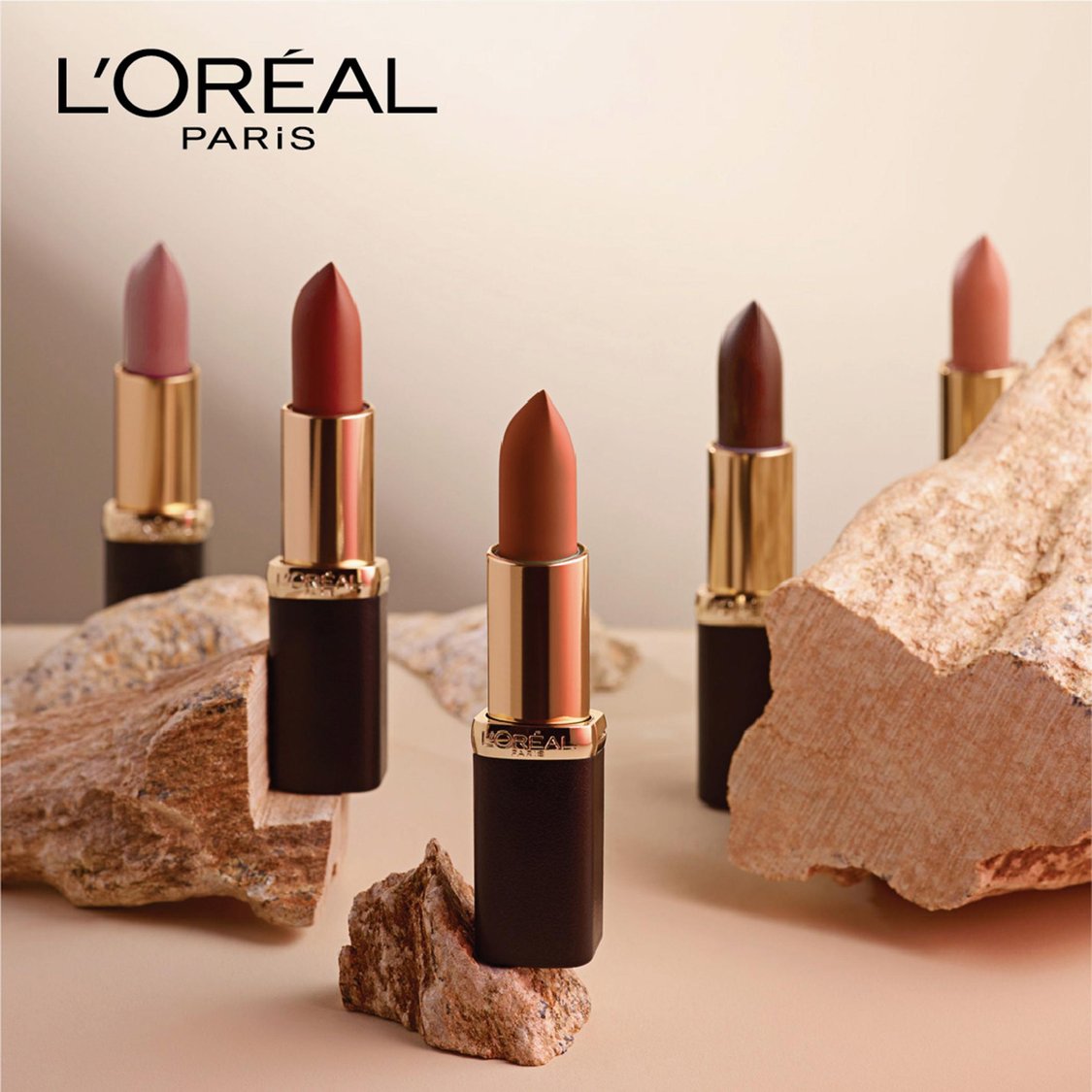 L'OREAL PARIS Color Riche Moist Matte Lipstick - 245 Sleek Dominance