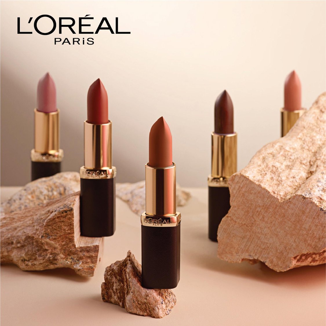 L'OREAL PARIS Color Riche Moist Matte Lipstick - 245 Sleek Dominance