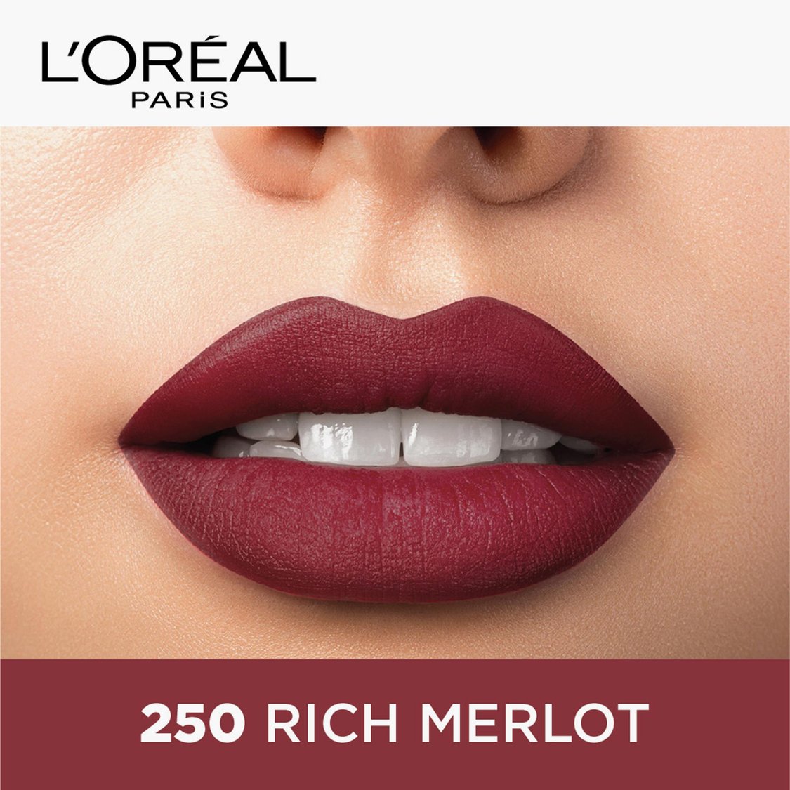 L'OREAL PARIS Color Riche Moist Matte Lipstick - 245 Sleek Dominance