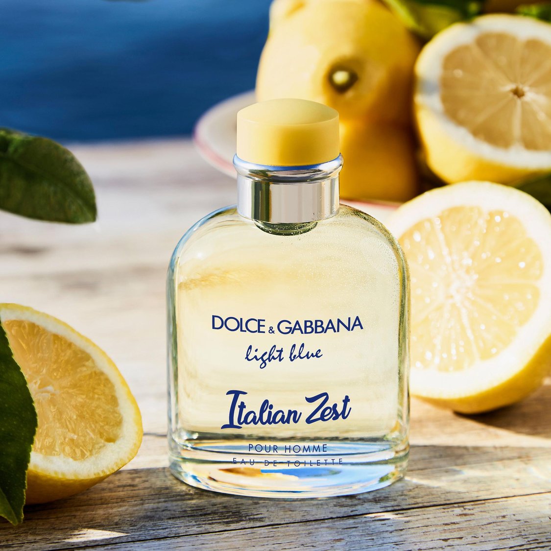 Dolce gabbana italian zest men online