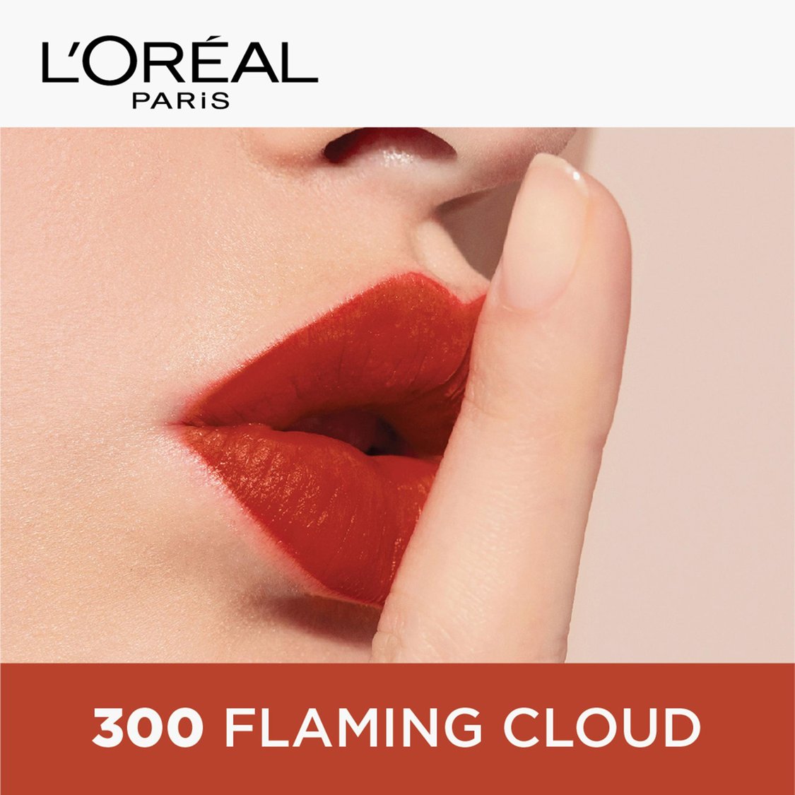 L'OREAL PARIS Color Riche Moist Matte Lipstick - 245 Sleek Dominance