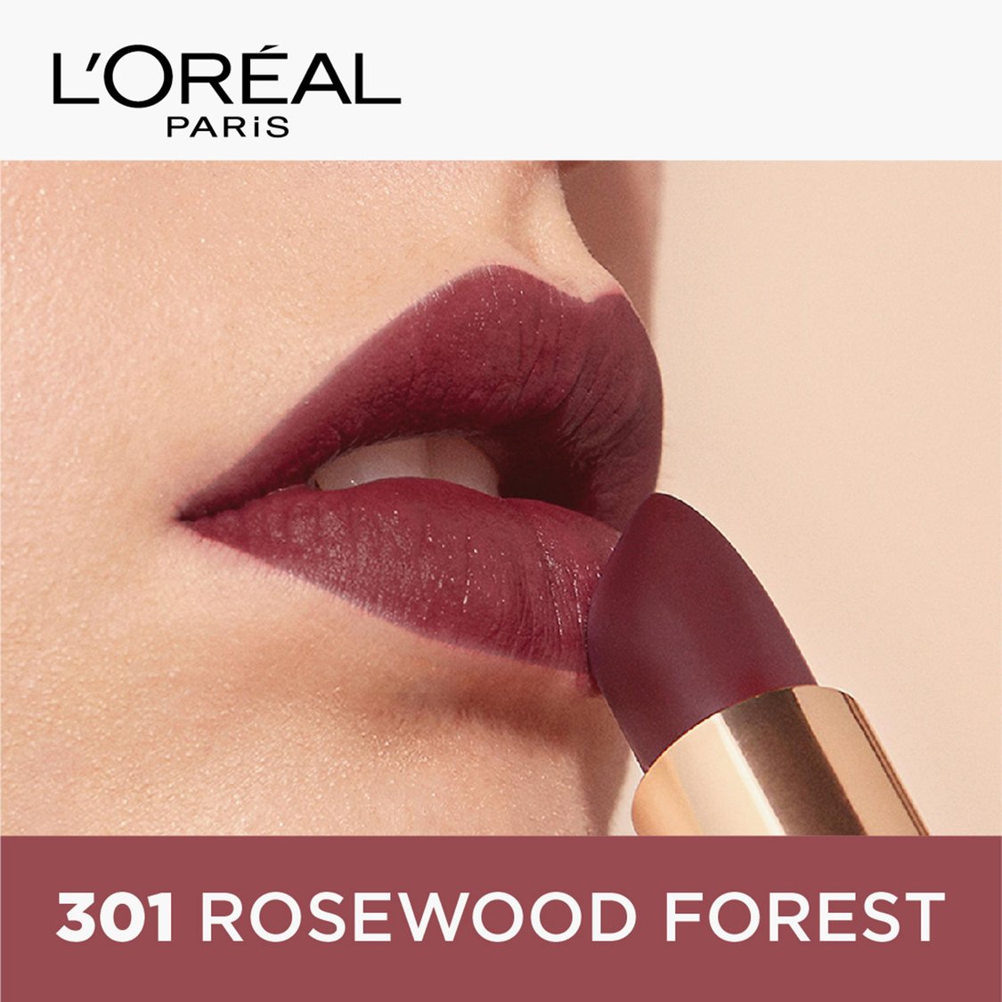 L'OREAL PARIS Color Riche Moist Matte Lipstick - 245 Sleek Dominance
