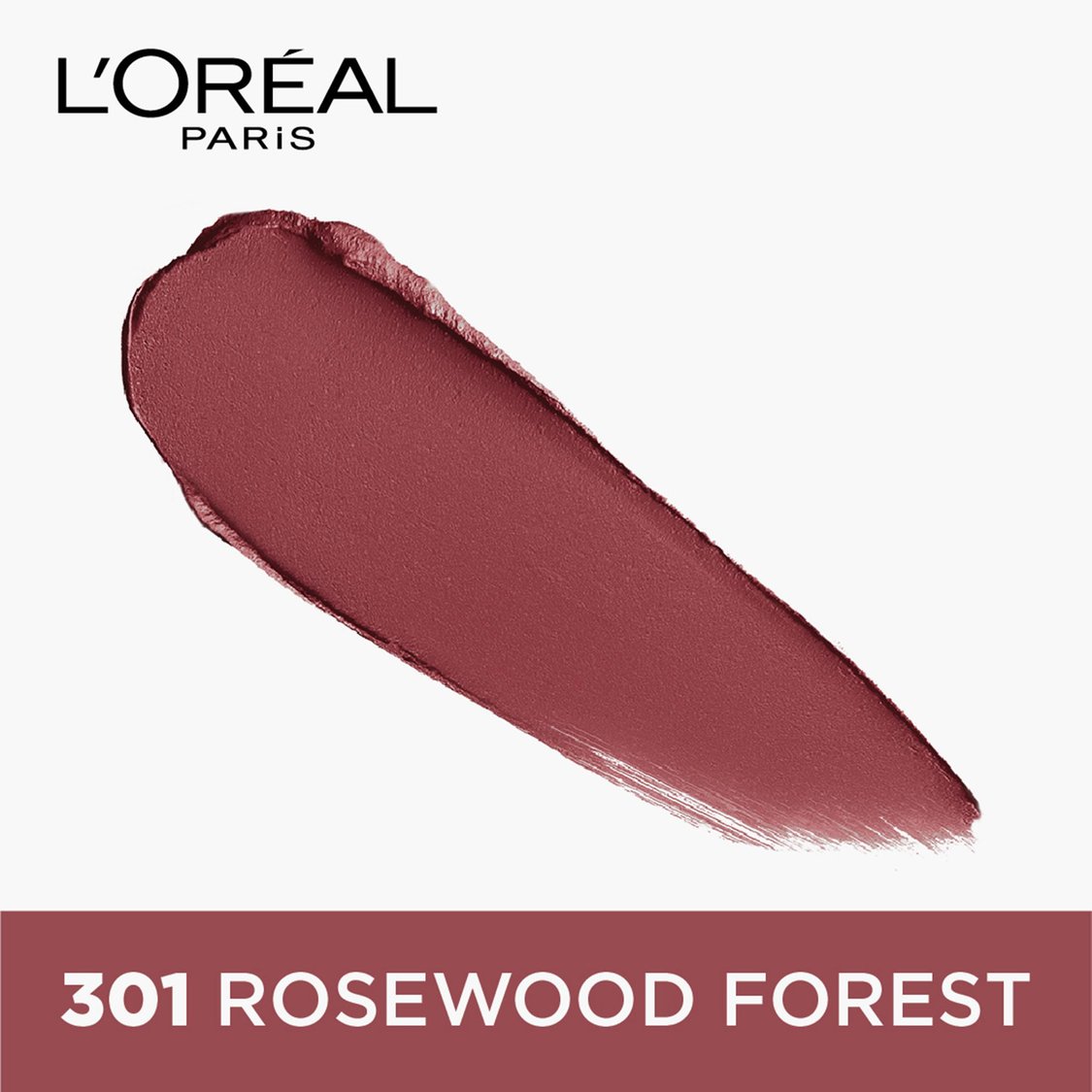 L'OREAL PARIS Color Riche Moist Matte Lipstick - 245 Sleek Dominance
