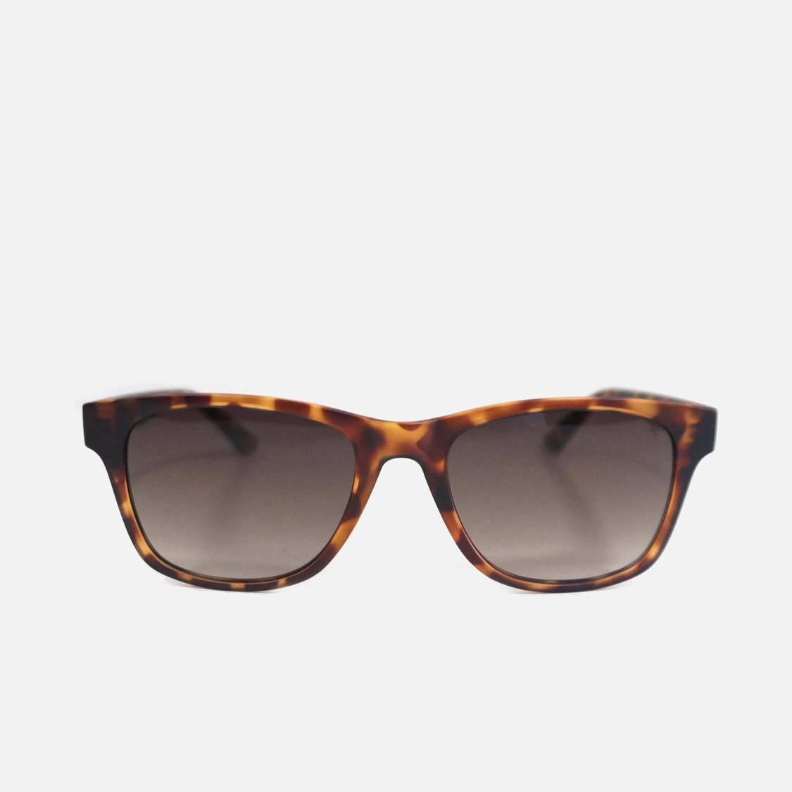 FCUK Men UV-Protected Wayfarer Sunglasses - FC7582C1S