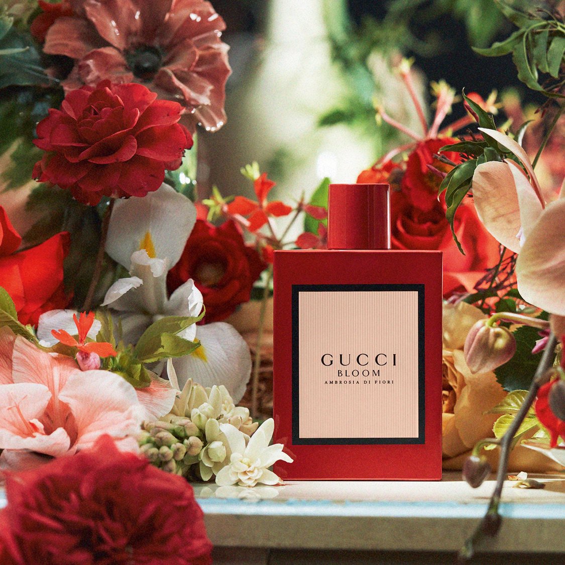 Perfume Douglas Gucci Bloom Nettare Di Fiori Gucci Bloom Douglas
