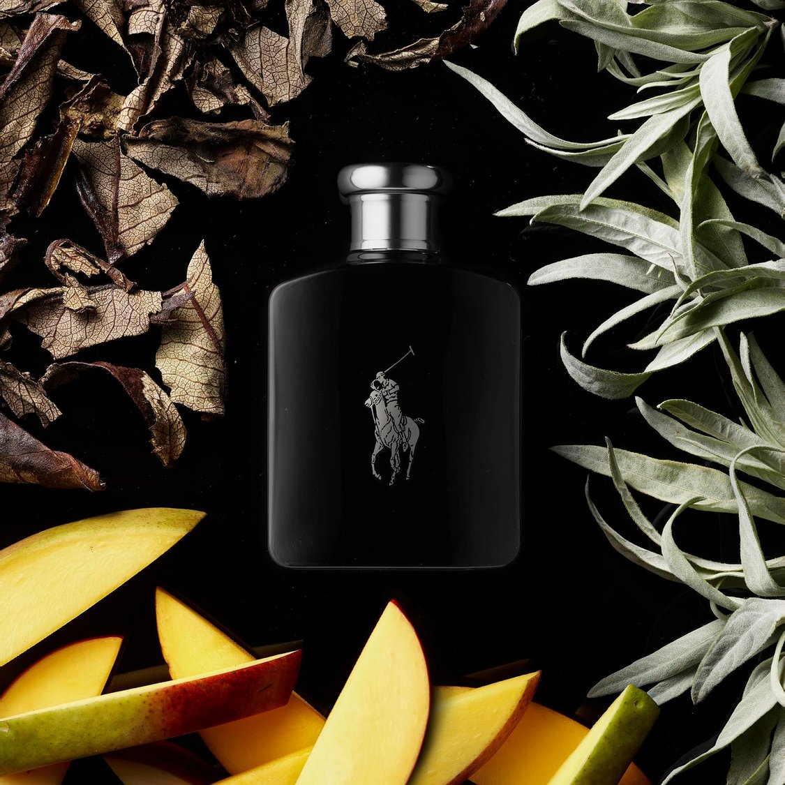 RALPH LAUREN Men Polo Black Eau de Toilette - 75ml