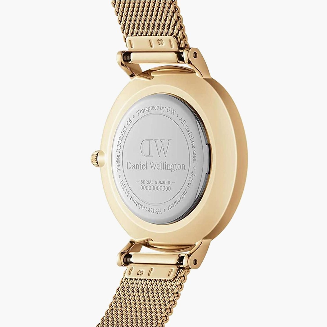 Buy DANIEL WELLINGTON Petite Unisex Analog Watch with Leather