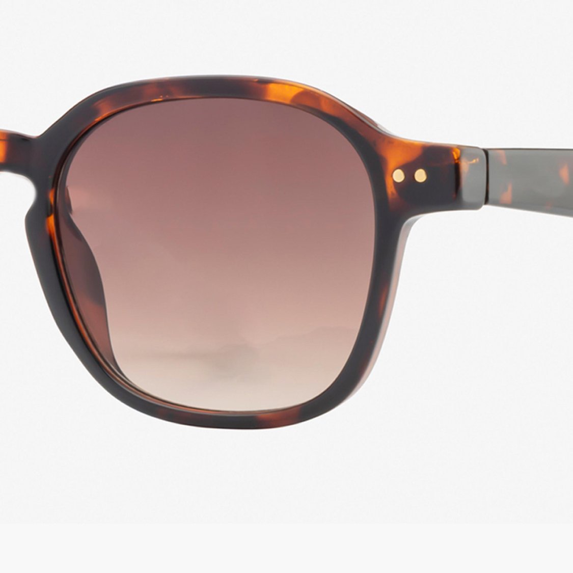 FORCA Men UV Protected Square Sunglasses - FR-SQ-1072-C03