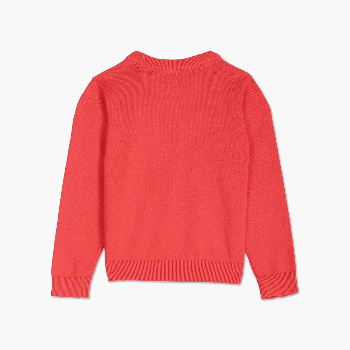 U.S. POLO ASSN. KIDS Boys Printed Sweatshirt