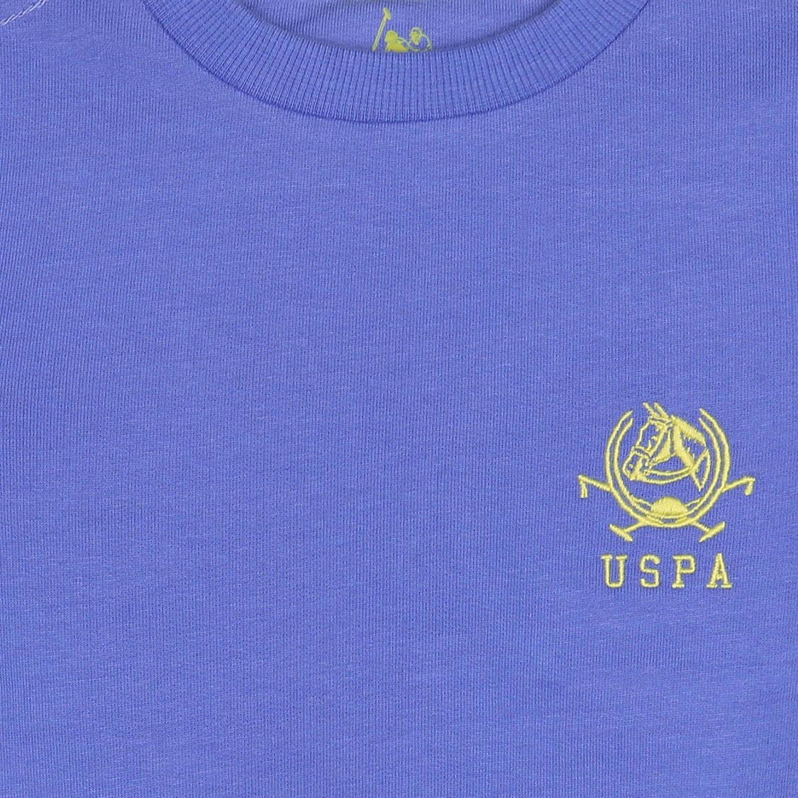 U.S. POLO ASSN. KIDS Boys Solid Sweatshirt