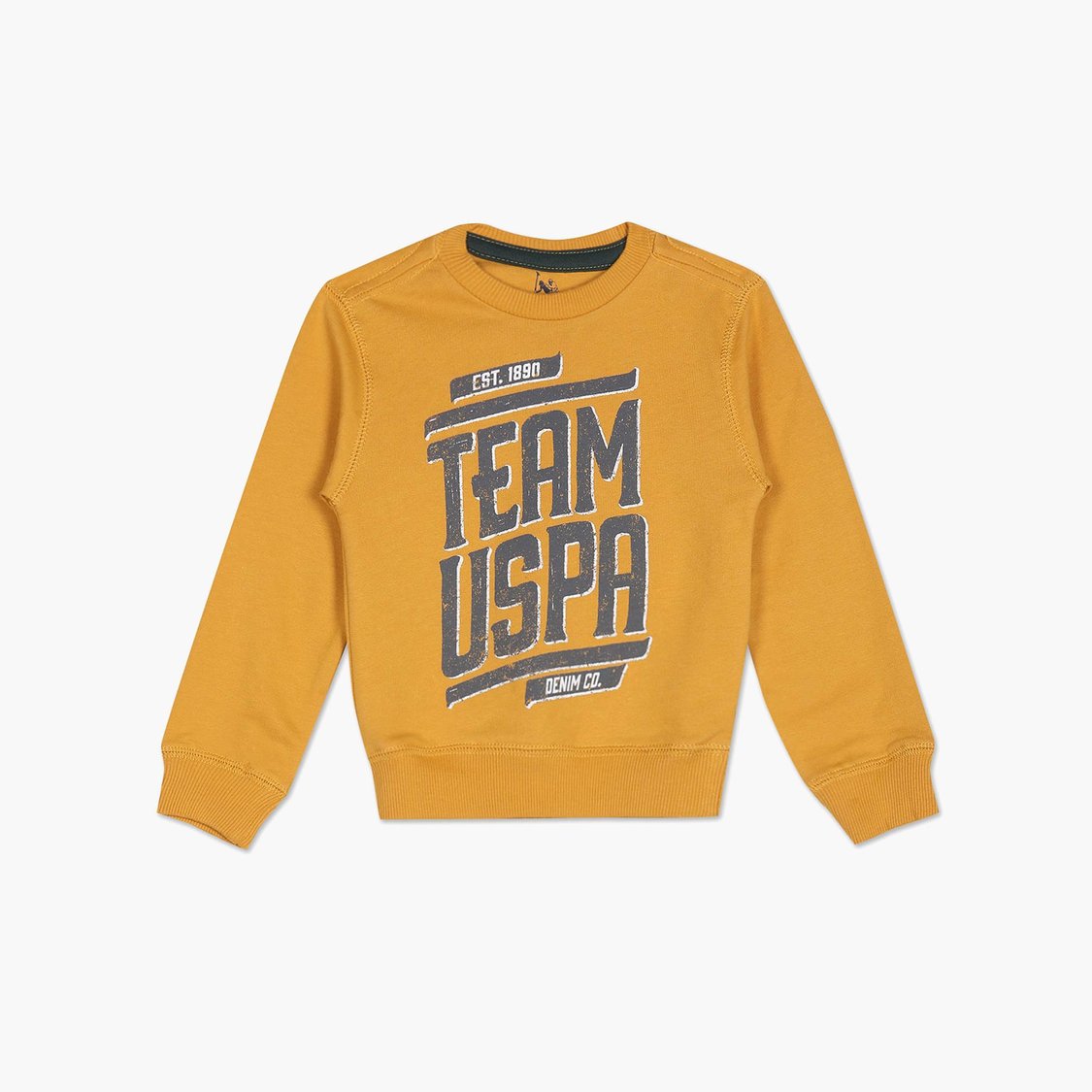 U.S. POLO ASSN. KIDS Boys Printed Sweatshirt