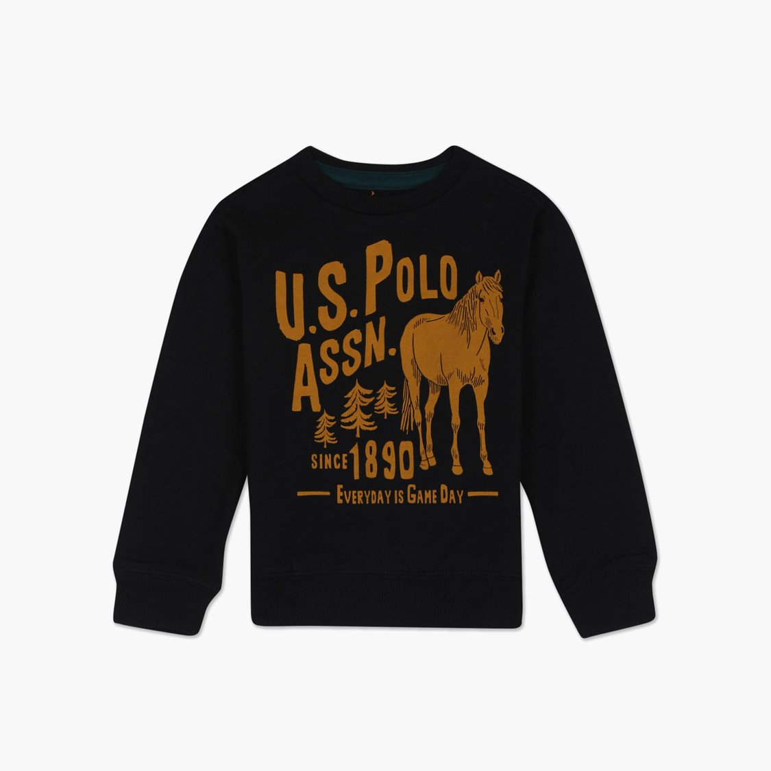 U.S. POLO ASSN. KIDS Boys Printed Sweatshirt