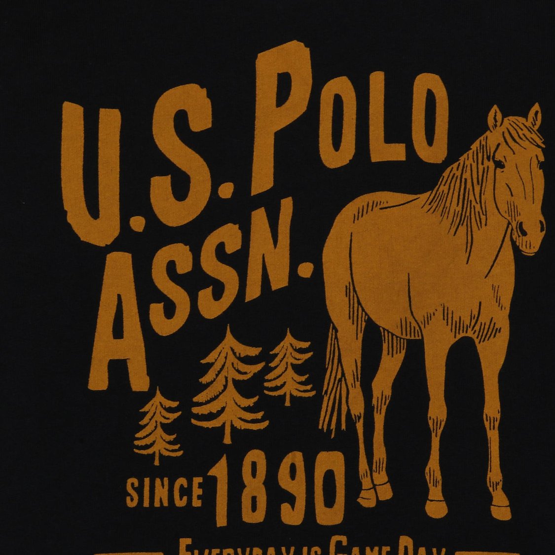 U.S. POLO ASSN. KIDS Boys Printed Sweatshirt