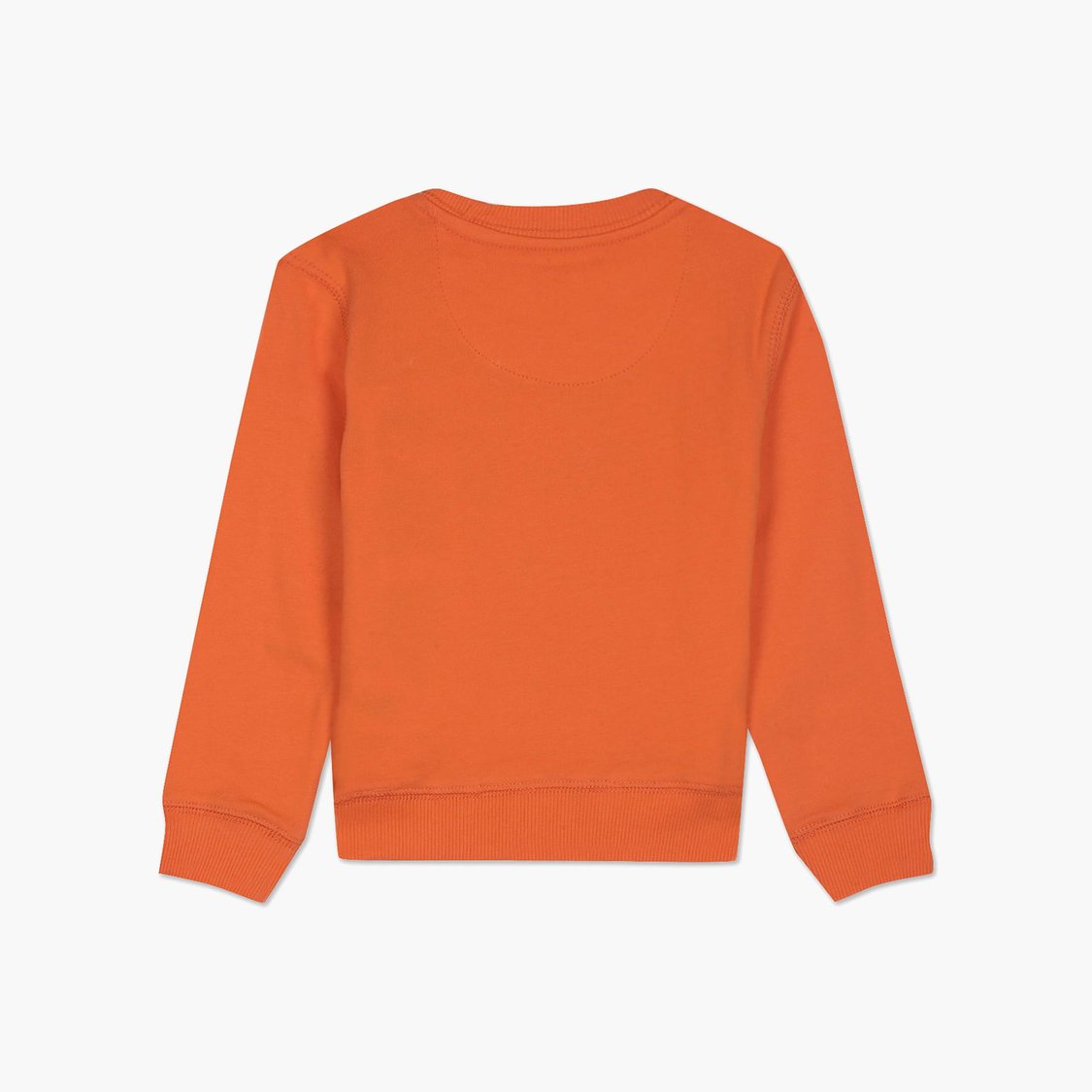 U.S. POLO ASSN. KIDS Boys Printed Crew Neck Sweatshirt