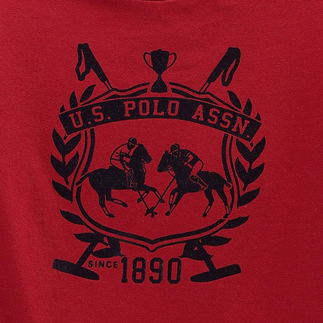 U.S. POLO ASSN. KIDS Boys Graphic Printed T-shirt
