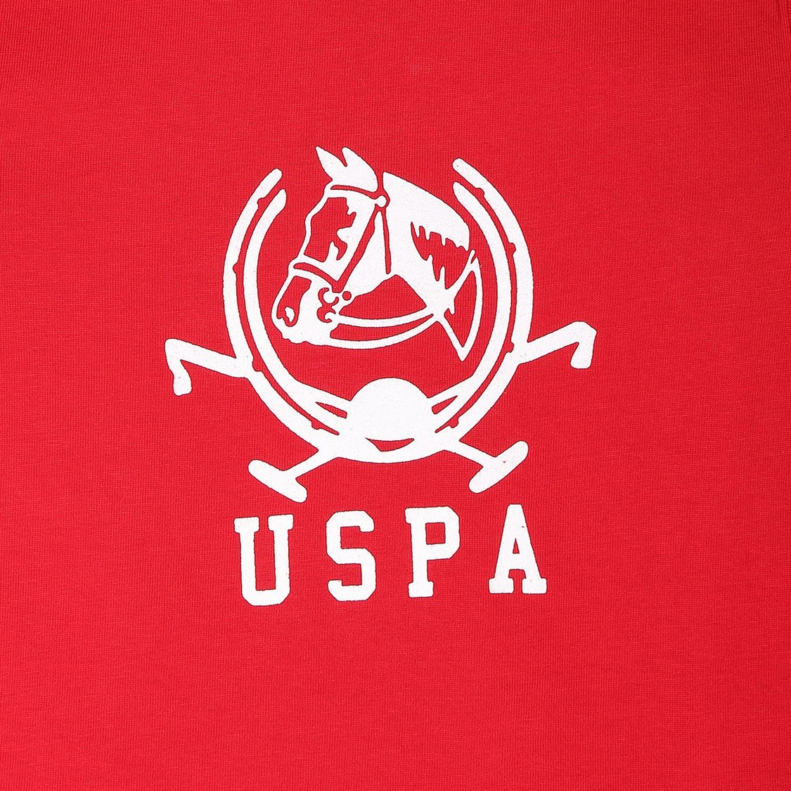 U.S. POLO ASSN. KIDS Boys Printed T-shirt- Pack Of 2