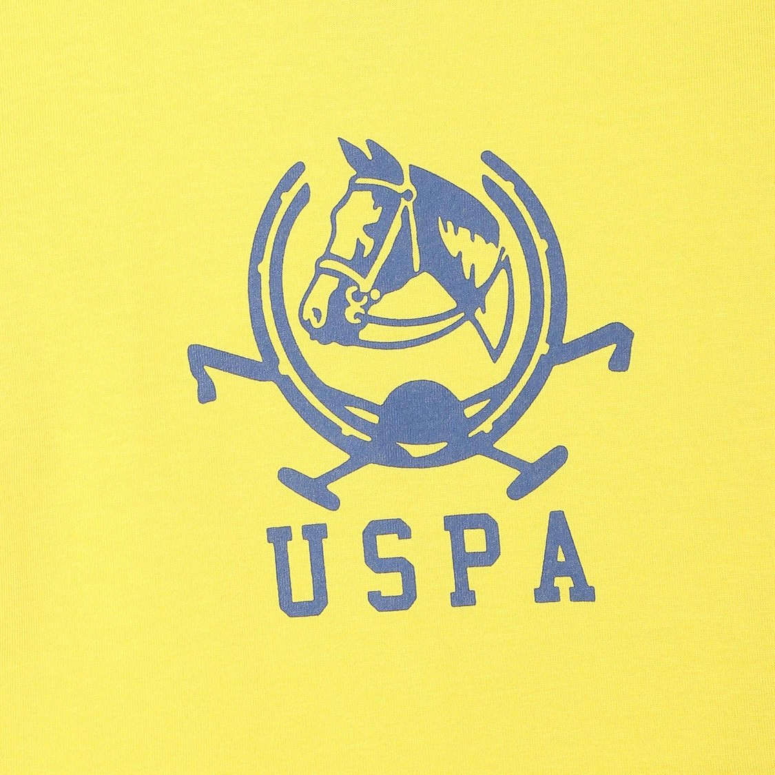 U.S. POLO ASSN. KIDS Boys Printed Regular Fit T-shirt - Pack of 2