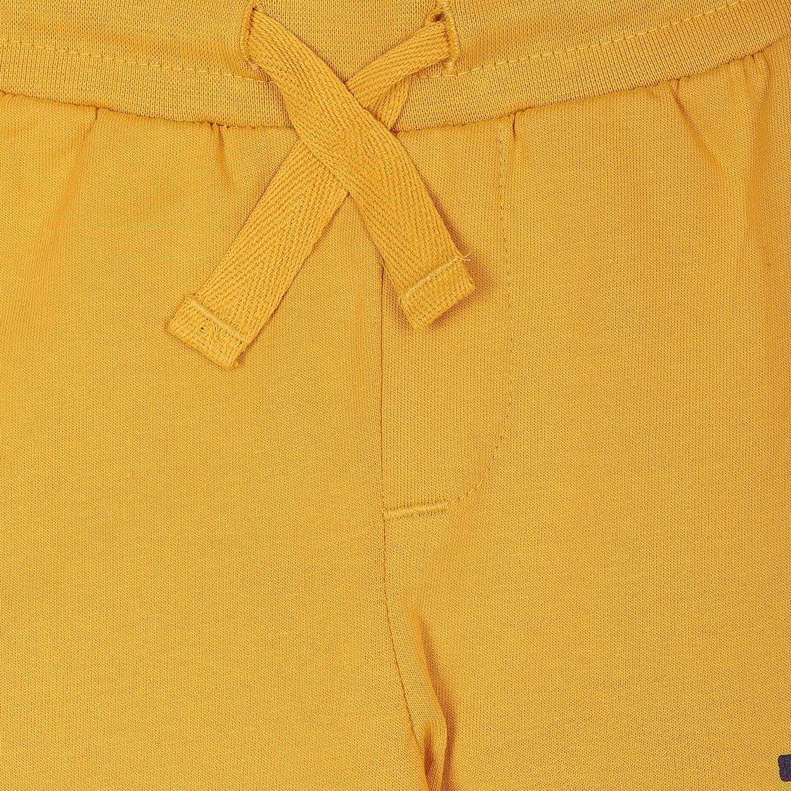 U.S. POLO ASSN. KIDS Boys Printed Joggers