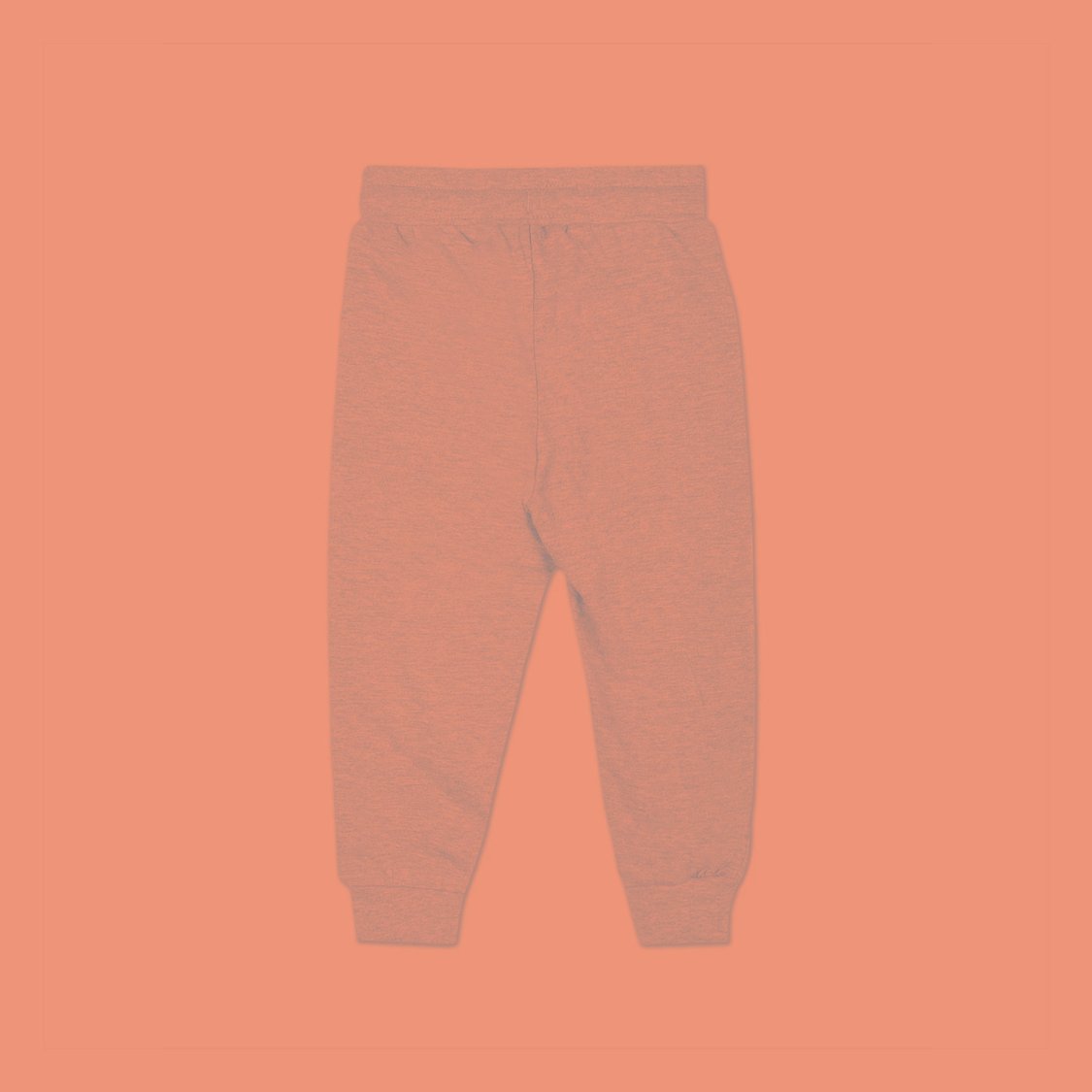 U.S. POLO ASSN. KIDS Boys Solid Joggers