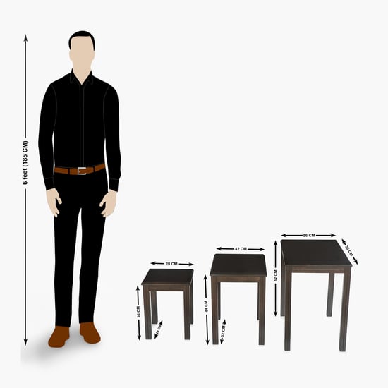 Montoya Nest of 3 Tables - Brown