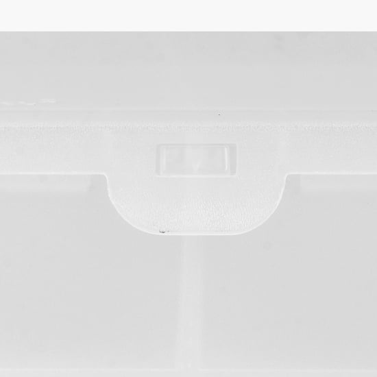 Regan 4 Division Storage Box