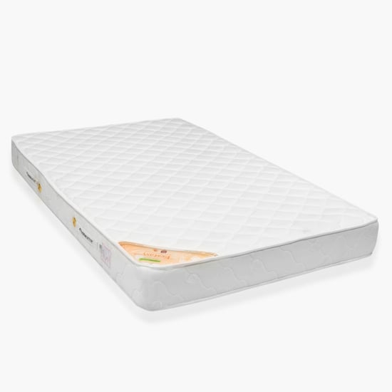 Ecstasy Plus Pocket Spring 6-Inch Teen Size Mattress - 120 x 195 cm