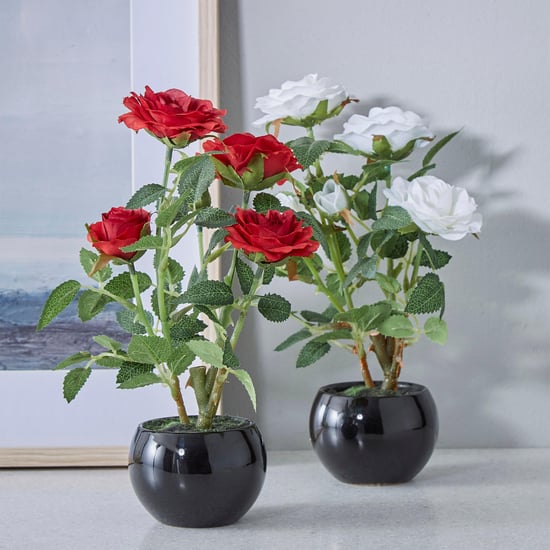 Gardenia Artificial Rose Flowers in Ceramic Pot - 23 cm