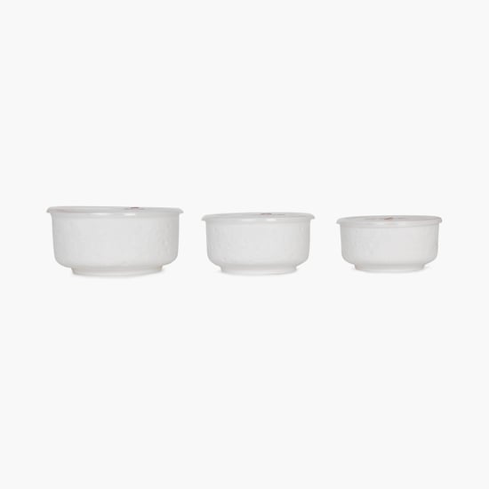Theon Bowl With Lid - Set Of 3