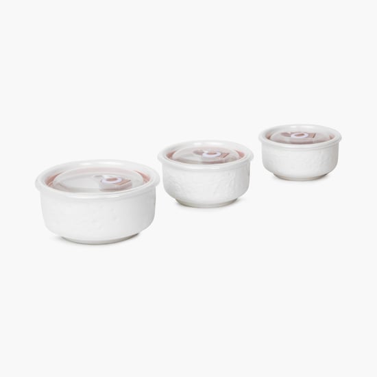 Theon Bowl With Lid - Set Of 3