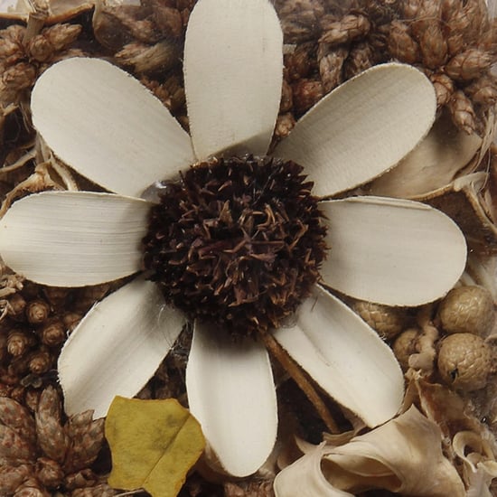 Vanilla Scented Potpourri