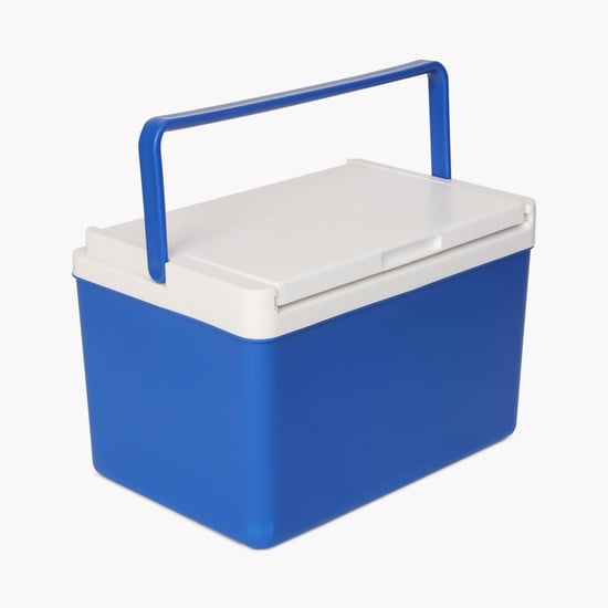 Insulated Cooler Box