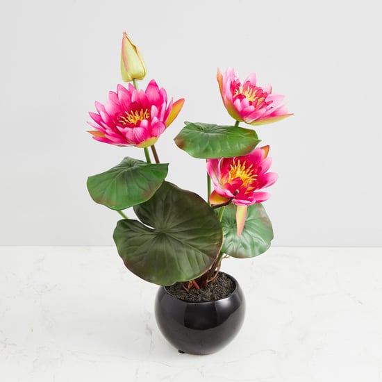 Valencia-Sachi Solid Four Head Lotus in Ceramic Pot