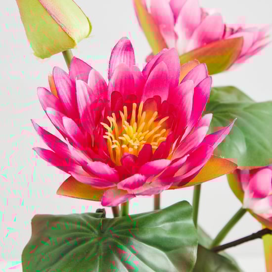 Valencia-Sachi Solid Four Head Lotus in Ceramic Pot