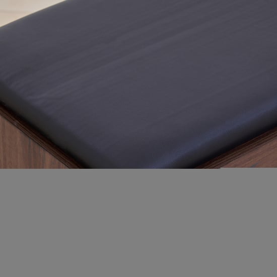 Lewis 18 Pairs Shoe Cabinet with Cushion Seat - Brown