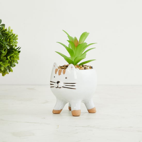 Garnet Elsa Cat with Succulent Plant