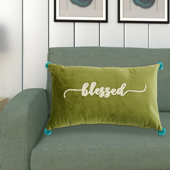 Lark Gtl Appliqued Velvet Filled Cushion - 30 x 50 Cm