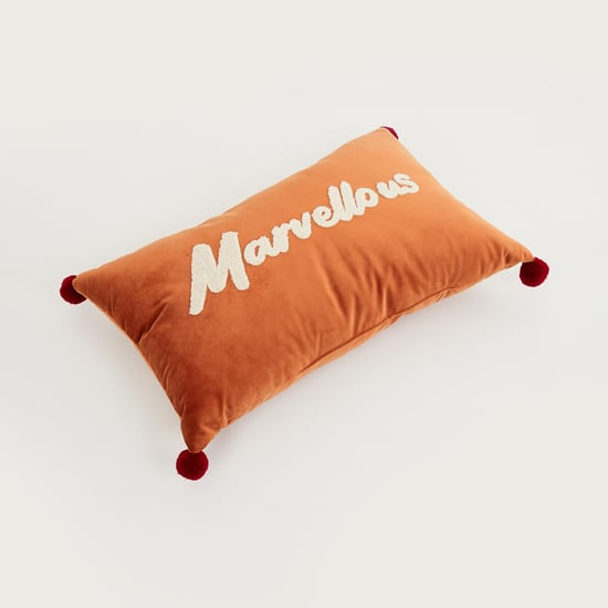 Lark Gtl Appliqued Velvet Filled Cushion - 30 x 50 cm