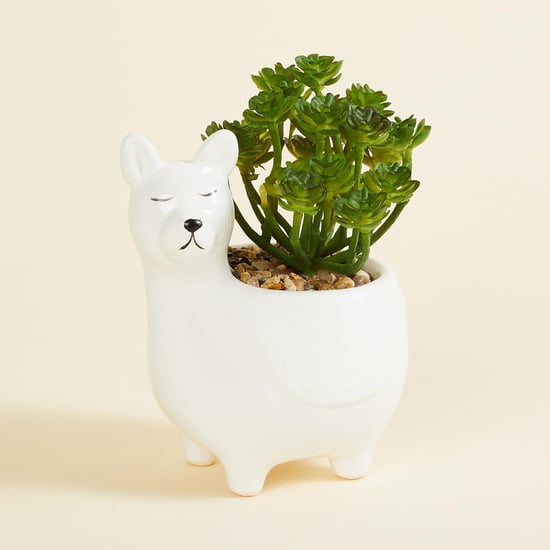 Garnet Elsa Artificial Succulent in Llama Planter