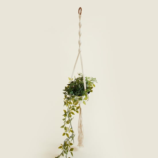 Splendid Rope Hanging Planter