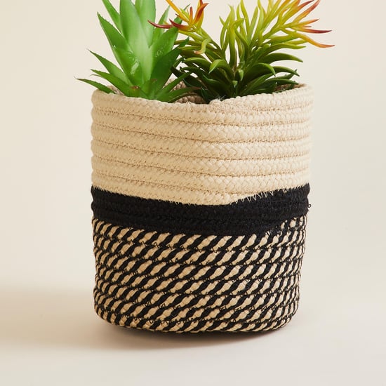 Corsica Eden Braided Planter