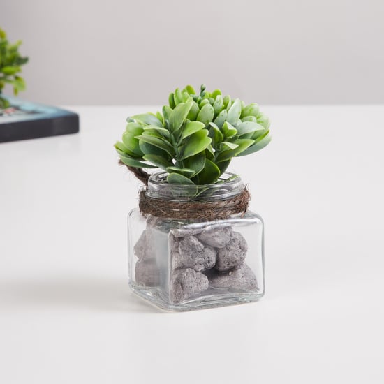 Corsica Eden Artificial Succulent in Glass Jar