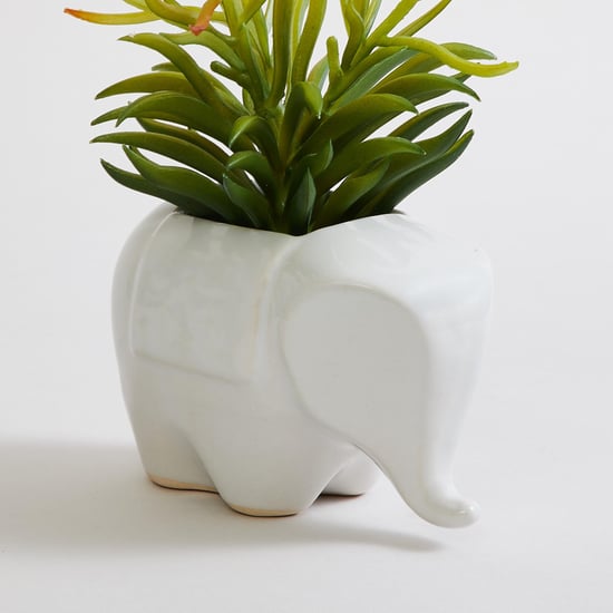 Corsica Eden Ceramic Elephant Planter