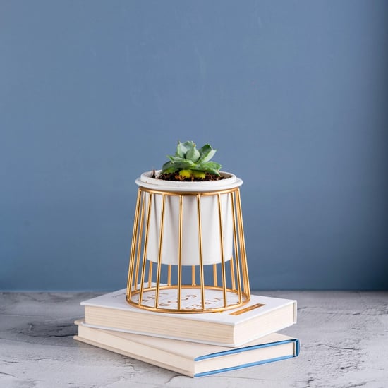 NUTURING GREEN Ottoman Multicolor Metal Planter Pot Stand