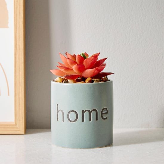 Garnet Garden Artificial Succulent in Ceramic Planter