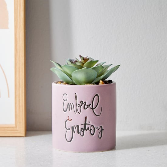 Garnet Garden Artificial Succulent in Ceramic Planter