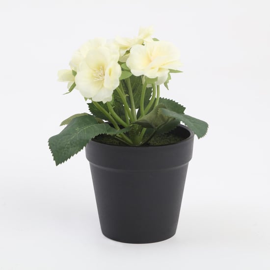 Buy Garnet Garden Artificial Blossom Plant in Pot from Home Centre