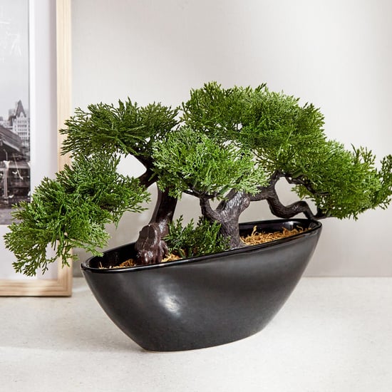 Gloria Alyssa Artificial Bonsai in Ceramic Pot